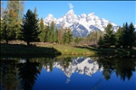 Grand Tetons reflected in a pond near Schwabacher Landng